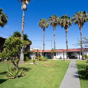 La Gaviota - Terazza Apartamento Icod De Los Vinos